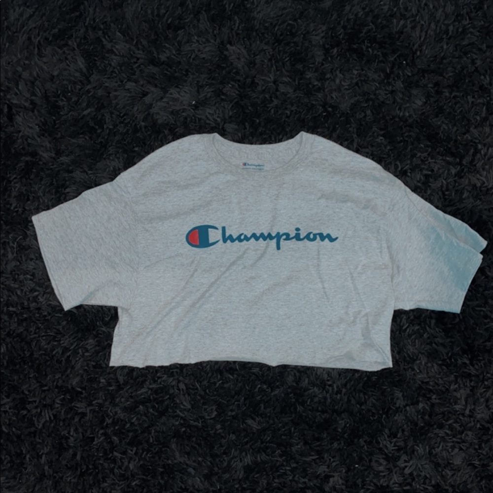 cropped gray champion t-shirt. size large.